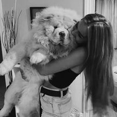 addsonree's tweet photo. addison rae with the dogs is so cute. they are the most sincere &amp; pure beings https://t.co/CMnITLj2g4