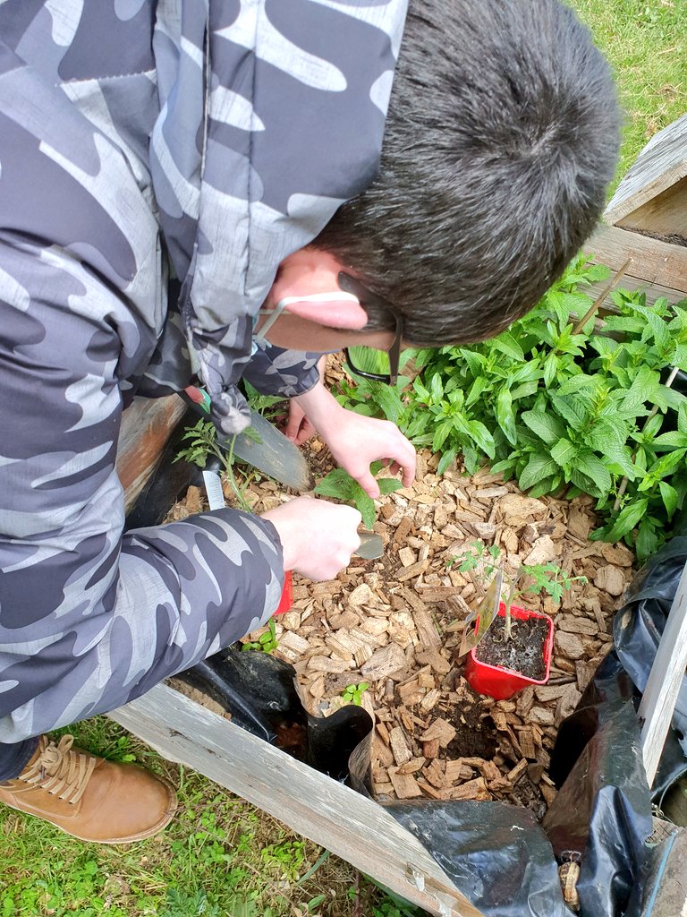 SVTBeaumanoir's tweet photo. Exceptionnellement #clubnature un mardi, en remplacement du jeudi férié 😁 Aujourd'hui on s'active. Il faut #planter et tout protéger avant le long week-end et arroser bien sûr !! https://t.co/XQZF4TPkP1