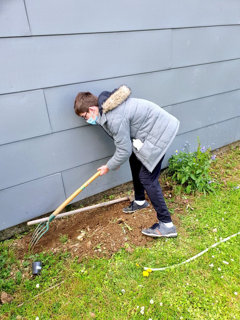 SVTBeaumanoir's tweet photo. Exceptionnellement #clubnature un mardi, en remplacement du jeudi férié 😁 Aujourd'hui on s'active. Il faut #planter et tout protéger avant le long week-end et arroser bien sûr !! https://t.co/XQZF4TPkP1