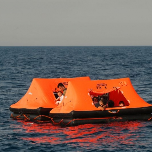 #NoOneIsIllegal tweet media