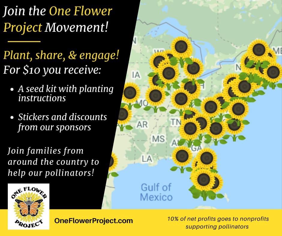 OneFlowerProject tweet media