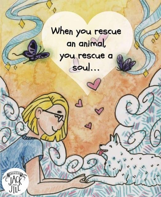 LifeAfterRescue's tweet photo. https://t.co/1k82riuKdx