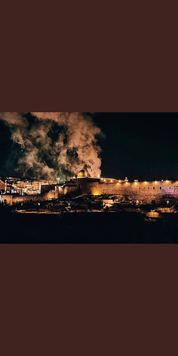 Children and innocent people are killed in Gaza. Israel is committing a crime against humanity. 
#Terroristisrail 
#AlAqsaUnderAttack 
#MescidiAksaDirenisi 
#IsraeliAttackonAlAqsa 
#FreePalestine