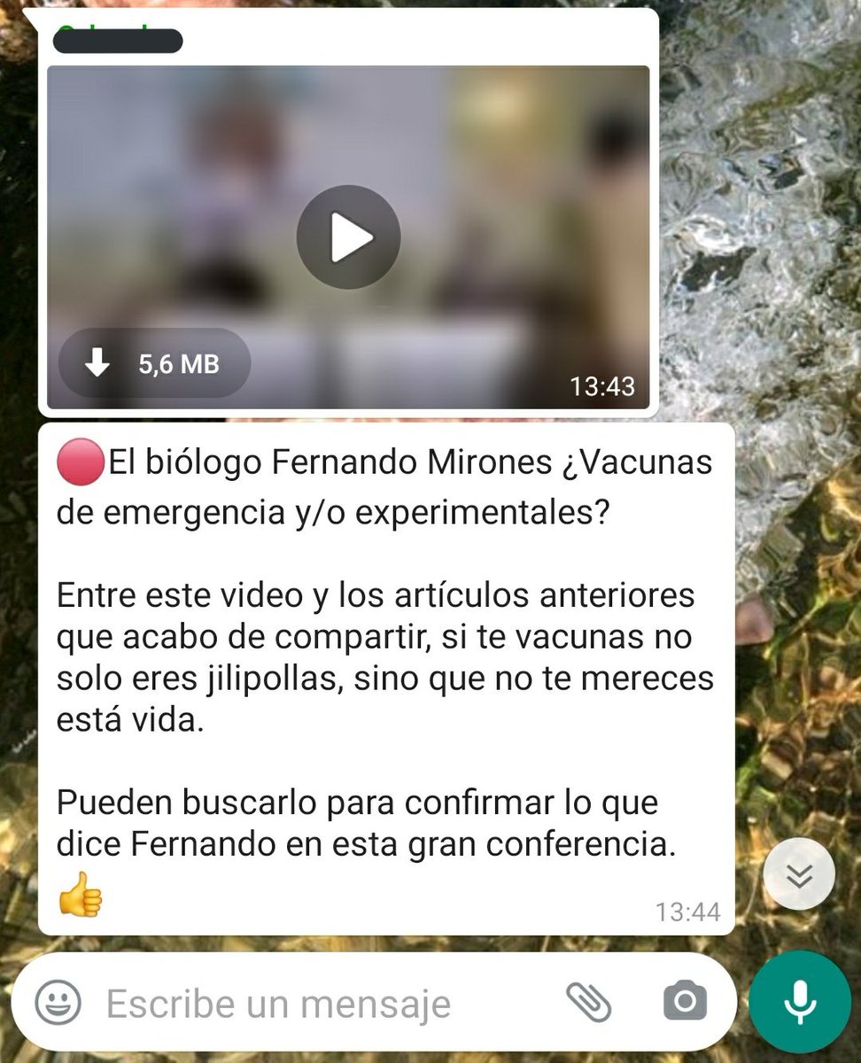 Marbi 🇮🇨 tweet media