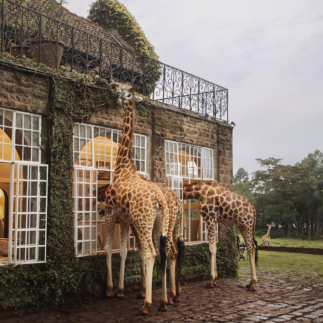 Beautiful Planet tweet media