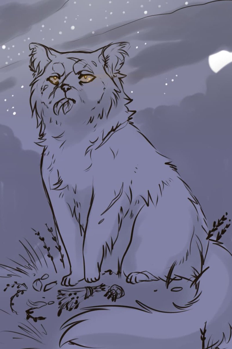 WolfHearts tweet media