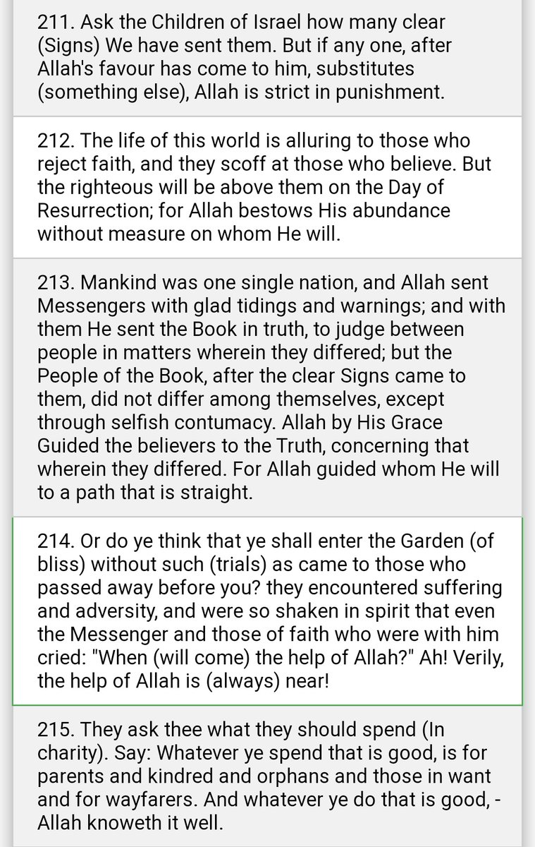 5HINeeRise's tweet image. They burned the holy Quran, but Look at this page that has not been burned like the rest of the pages..
#AlAqsaUnderAttack #Palestine