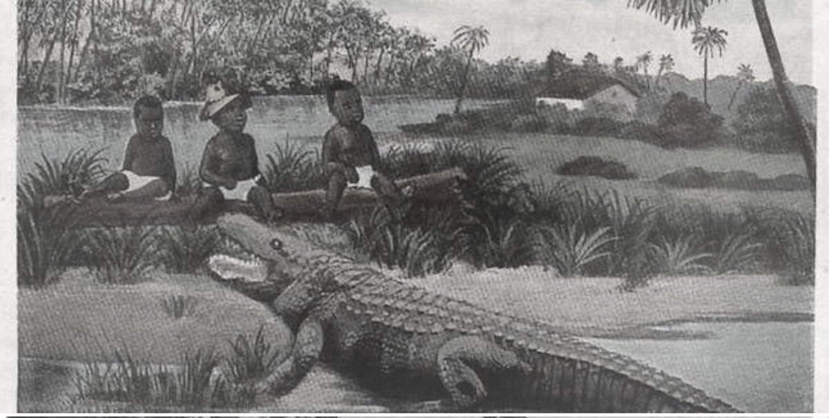 African slaves children were once used as alligator bait by their slave masters and mistresses