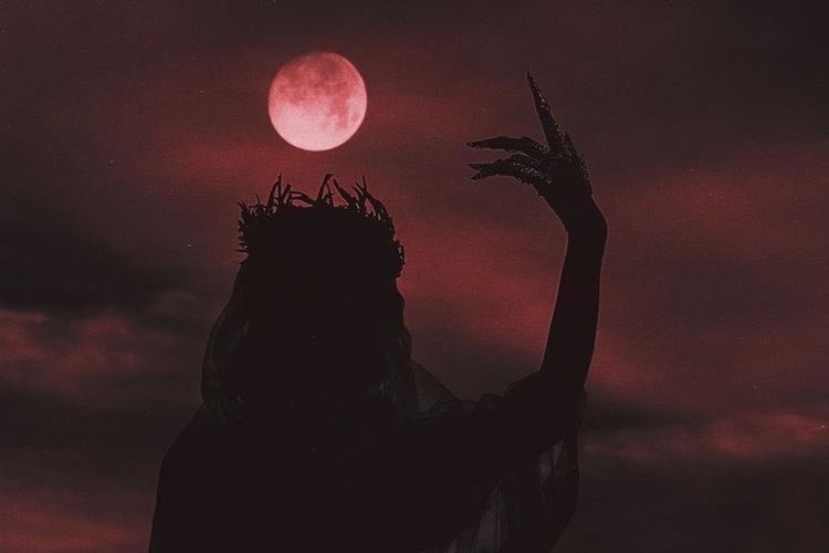 SuitAroundWorld's tweet photo. —-‘  

—‘ 

 “ 𝖄𝖔𝖚 𝖍𝖆𝖛𝖊 𝖆𝖑𝖗𝖊𝖆𝖉𝖞 𝖑𝖔𝖘𝖙 “

  -Mother Miranda- https://t.co/VE7u6DJZyq