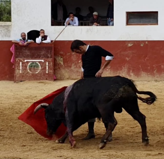 “INDULTO de un toro en Cebada Gago”
Volvimos de nuevo a esta legendaria ganadería este domingo y, aunque hizo un día muy desapacible, salió un toro de vacas. Dias  que hacen único y grande nuestro mundo. Acompañado de buenos amigos lo cual hizo mas redondo el día.