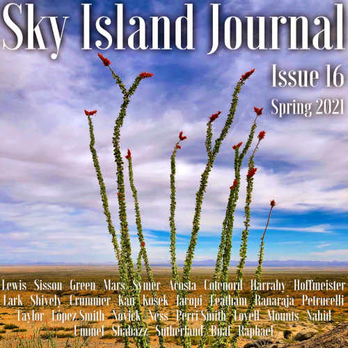 newpages's tweet image. Don't forget! @Sky1sland Journal is accepting poetry, flash fiction, &amp;amp; creative nonfiction for its Summer 2021 issue. Submit before midnight on June 30. $4.99 fee. Remember to read their Spring issue for a taste of what they like. ow.ly/p1wT50EJ4y5

#litmags #writers