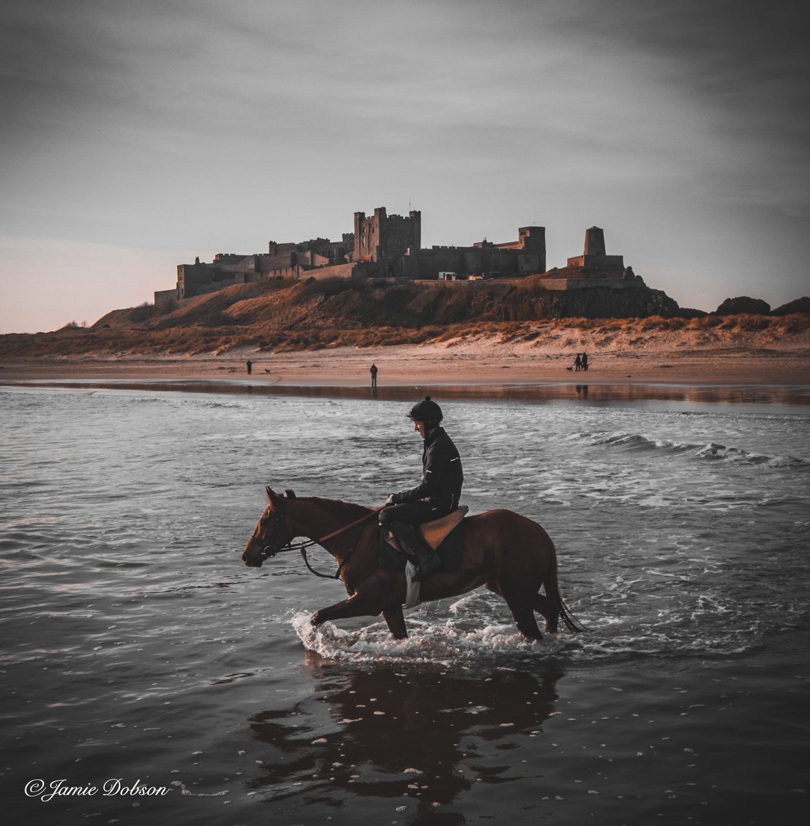 Another one of Wise Eagle with Adam <a href="/NicolRacing/">Adam Nicol Racing</a> #bamburgh #racehorse #northumberland #horses