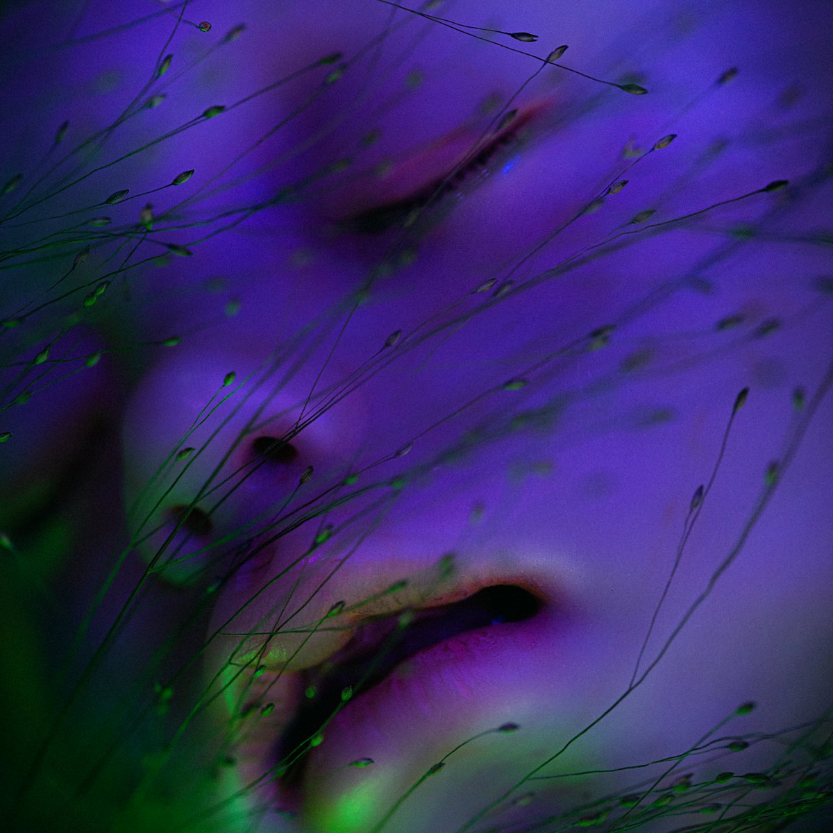 w̟͕͓a͇̼͕k̢̞̘e͇͕̟ m̙̞̝e̠̘̟ u͙͓͙p̘͕͍
my new NFT is out on <a href="/SuperRare/">SuperRare</a>💎

Collaboration with the Japanese 
doll designer <a href="/hayashimidori/">林美登利@第二作品集発売中</a> 🤍
I photographed her magnificent dolls in Tokyo last year and we had exhibition with this project 
at the Vanilla gallery.

superrare.co/artwork-v2/w%C…