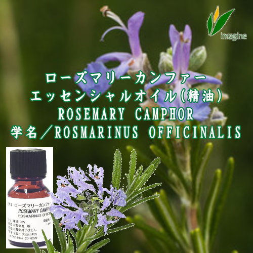 ローズマリーカンファー Twitter Search Twitter