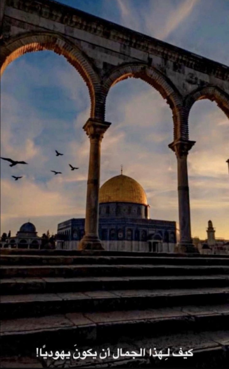 _sbrbr4's tweet image. #المسجد_الأقصى