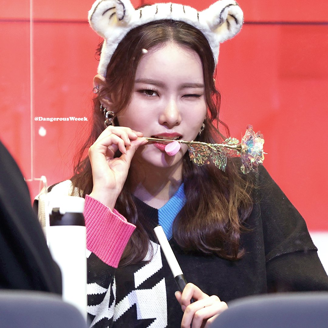 DangerousWeeek's tweet photo. Happy Birthday @_Weeekly Monday 🌕🌹🎂 2002.05.10 🌙

📷 Photo by @DangerousWeeek

#Weeekly #위클리 #Monday #먼데이 #KimJimin #김지민 #HappyMondayDay #MondayDay #OurMoonlightMonday #달빛보다_반짝이는_김지민 #월요일의_요정_생일축하해 #Daileee #데일리 https://t.co/zb3Pba4Weq