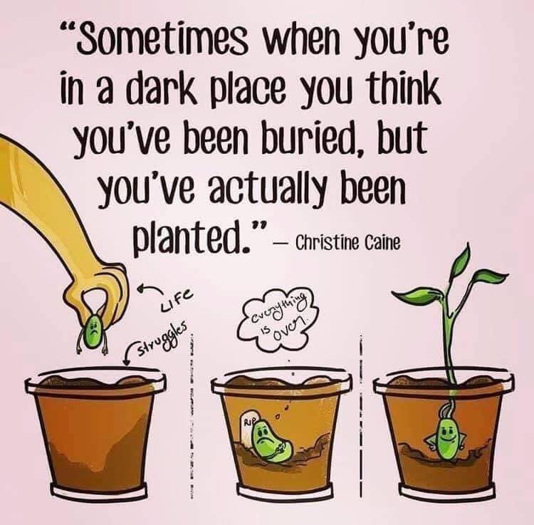 rajeshls's tweet image. Roger that.