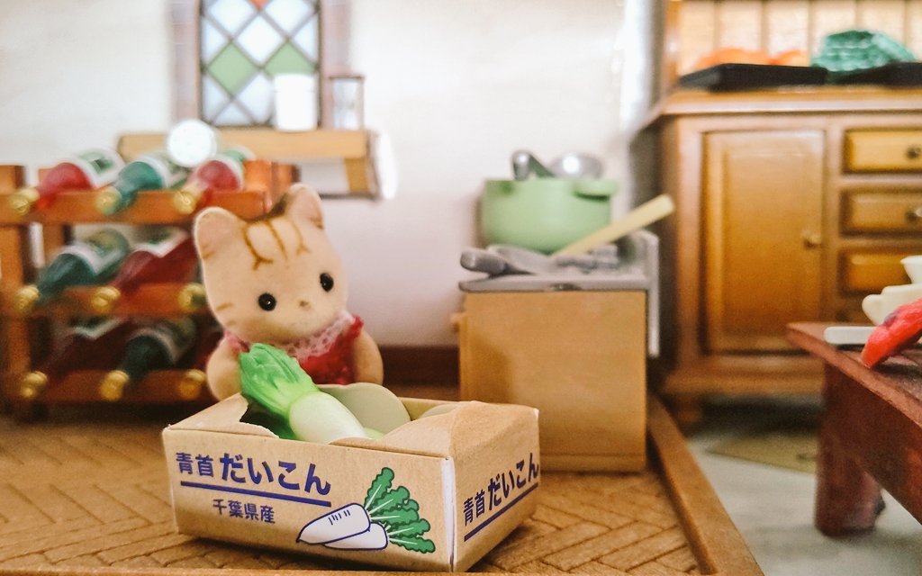 おうちにかえりたいシマネコの赤ちゃん Simanekokaeru Twitter