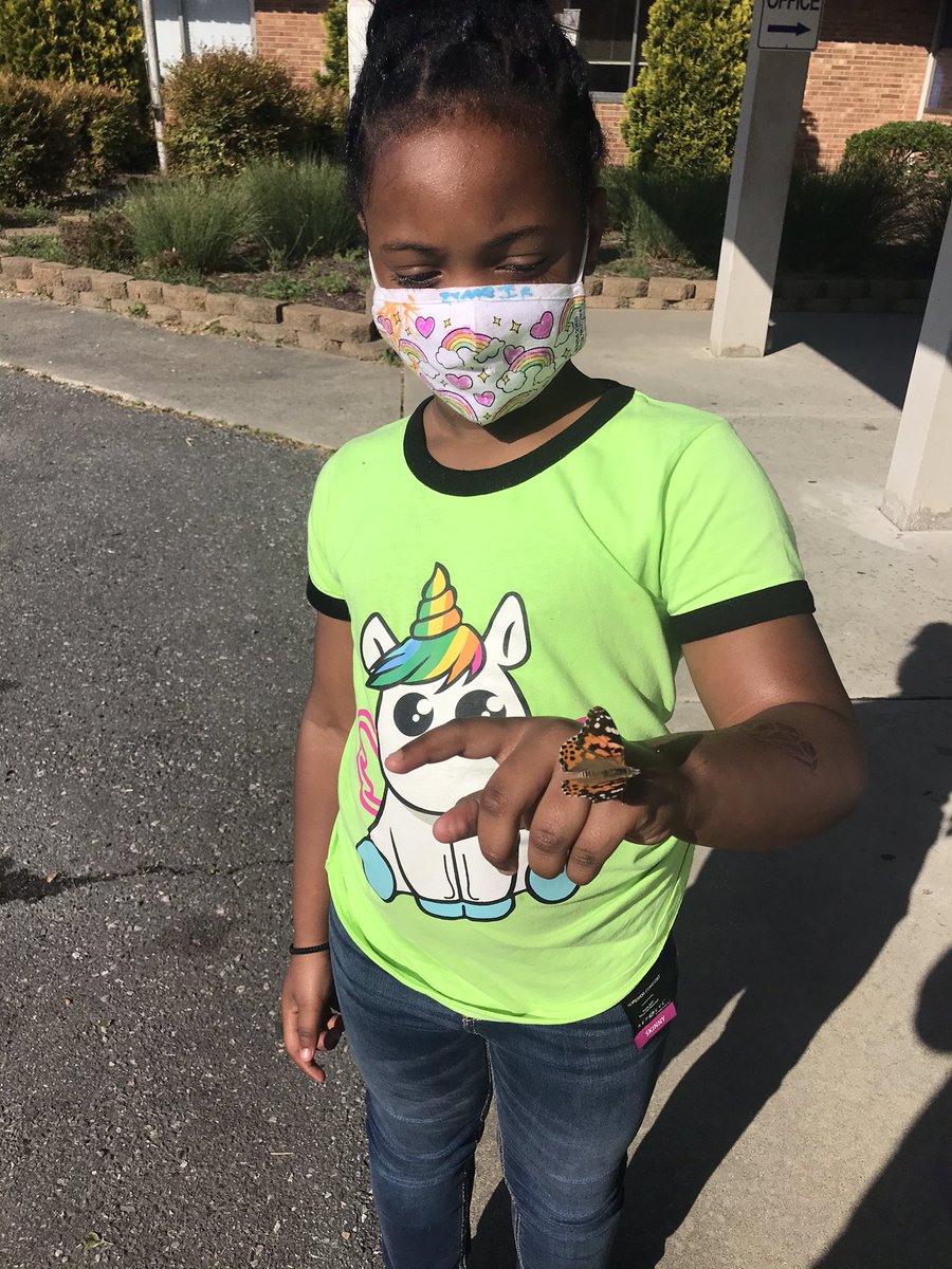 DanielleCarl5's tweet photo. Our Zoomies got to come view our life cycles in person, make a craft and release butterflies today! @UNCGMSPS https://t.co/KCEK47E7gP