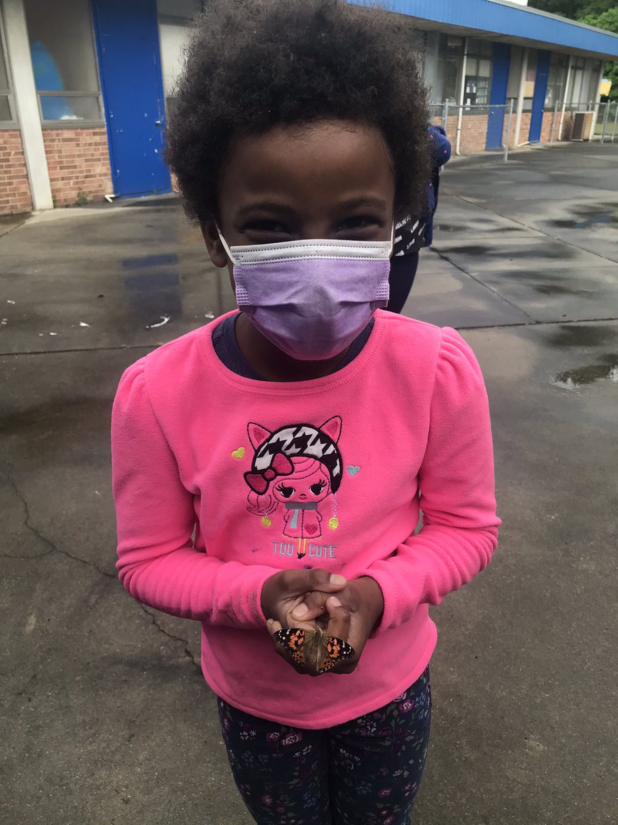 DanielleCarl5's tweet photo. Butterfly release day! The roomies said their good-byes and watched as our butterfly friends flew off!  @UNCGMSPS https://t.co/RFcR6uSldY