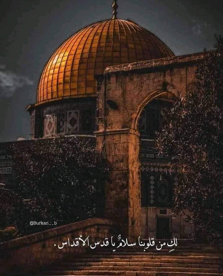 Mohamed Gomaa (@mohamed87966235) on Twitter photo 