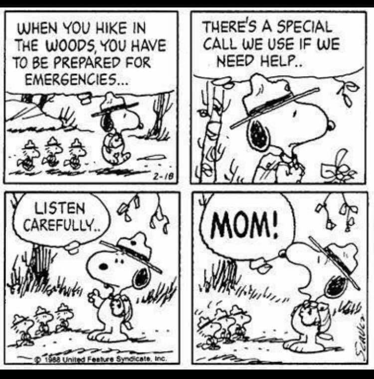 216Cub's tweet image. Thanks to all the moms that make scouting happen!