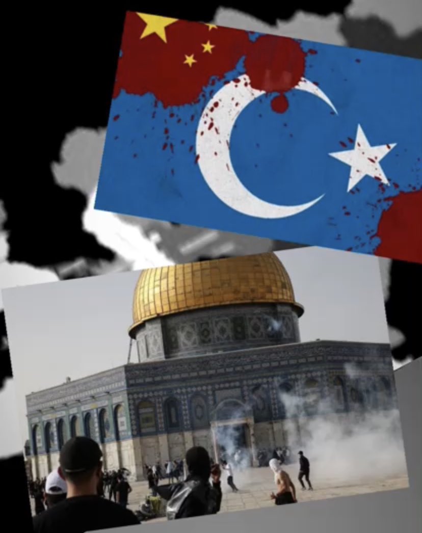 ‘ Kim bir kötülük görürse,
onu eliyle değiştirsin. 
Şayet eliyle değiştirmeye gücü yetmezse diliyle değiştirsin. Diliyle değiştirmeye de gücü yetmezse, kalbiyle düzeltme cihetine gitsin ki,bu imamın en zayıf derecesidir.’ 
(Müslim, İman 78. Tirmiz) #Kudues #DoguTurkistan