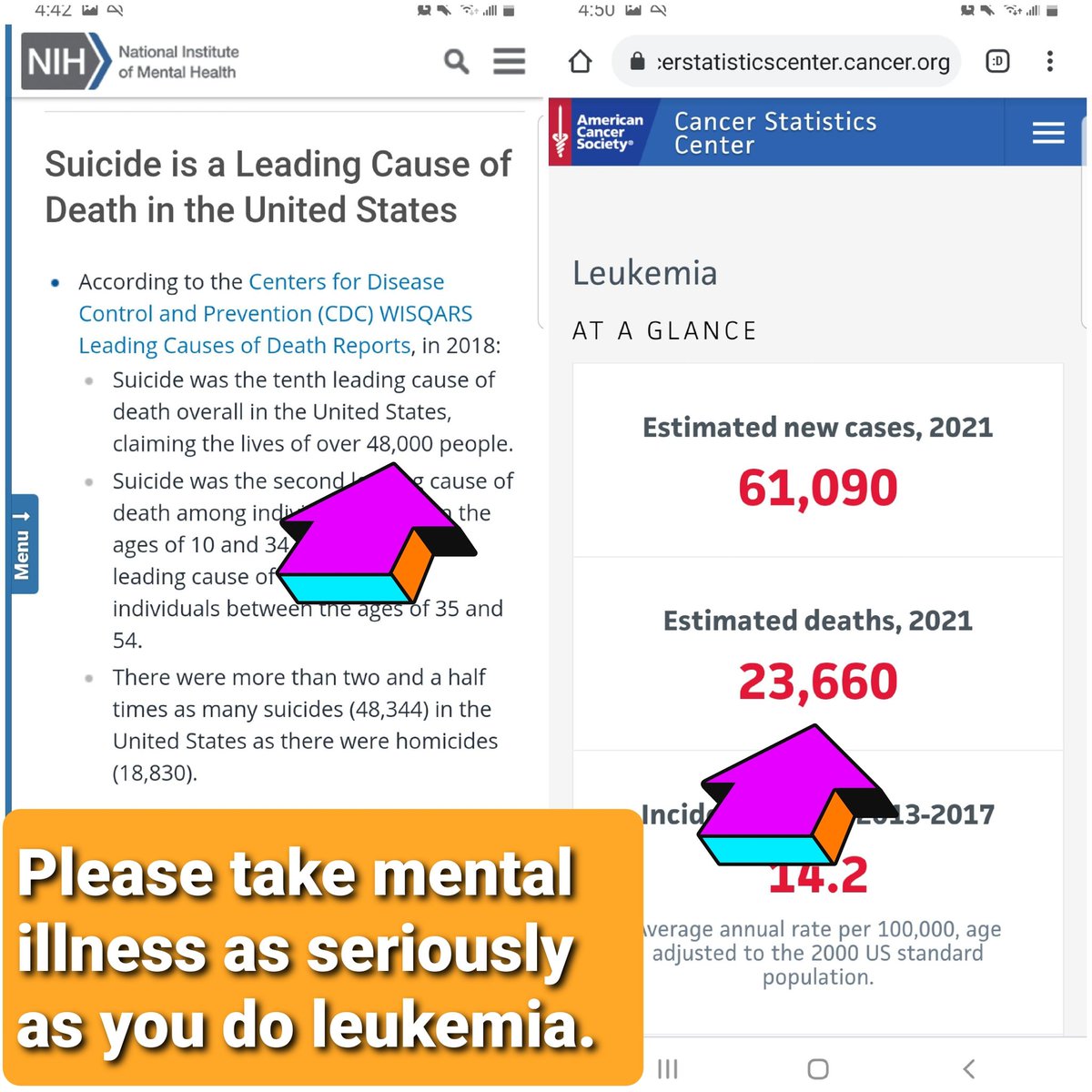 HomeForSpiders's tweet image. 