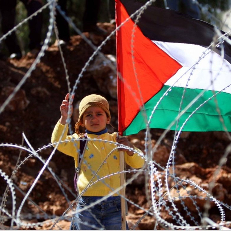 Adam 🇹🇷🇵🇸 tweet media