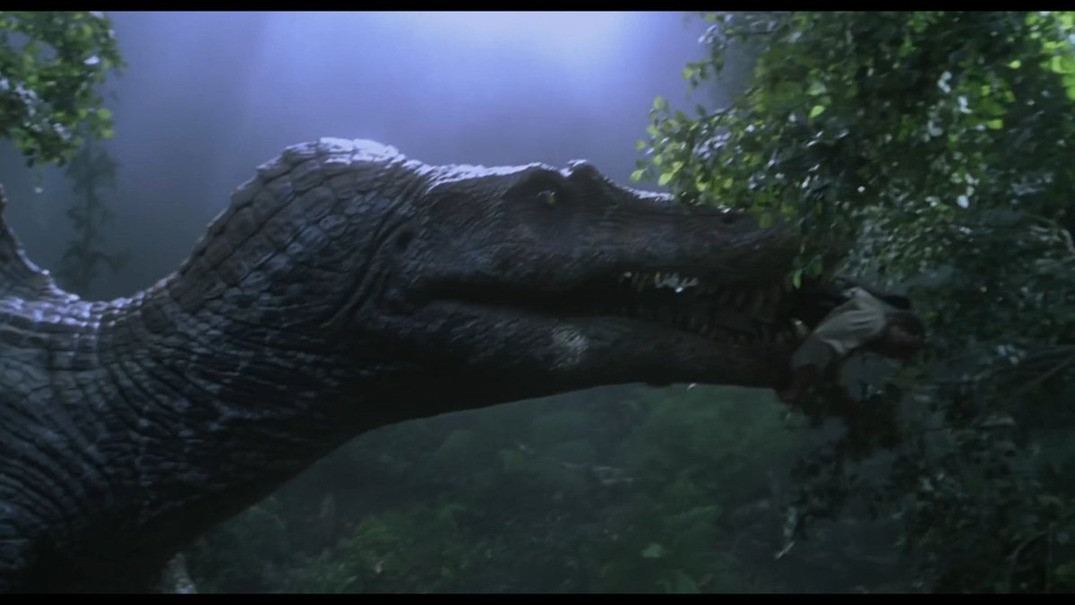 Spinosaurus has a much longer snout than the Tyrannosaurus Rex has, its the most distinguishing feature apart from the giant fin on its back.  #JurassicThreewatch