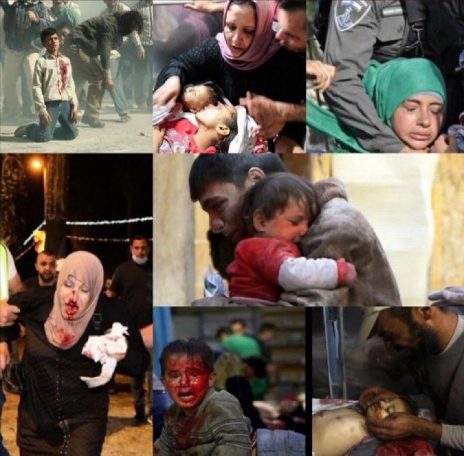 dr__maddy's tweet photo. See the brutality &amp; barbarianism of Israeli forces against unarmed peaceful Muslim worshipers in the AlAqsa on a sacred night of Ramzan.
The silence of the international community on this horrific oppression is absolutely disgusting.
#AlAqsaUnderAttack 
#GazaUnderAttack https://t.co/WYoQ7qGiXj