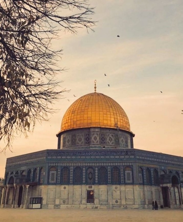 Ya Rabbi! Miracına tanıklık ettirdiğin Kudüs'ün özgürlüğüne de şahit kıl bizleri..  
#AksadaBaskınVar