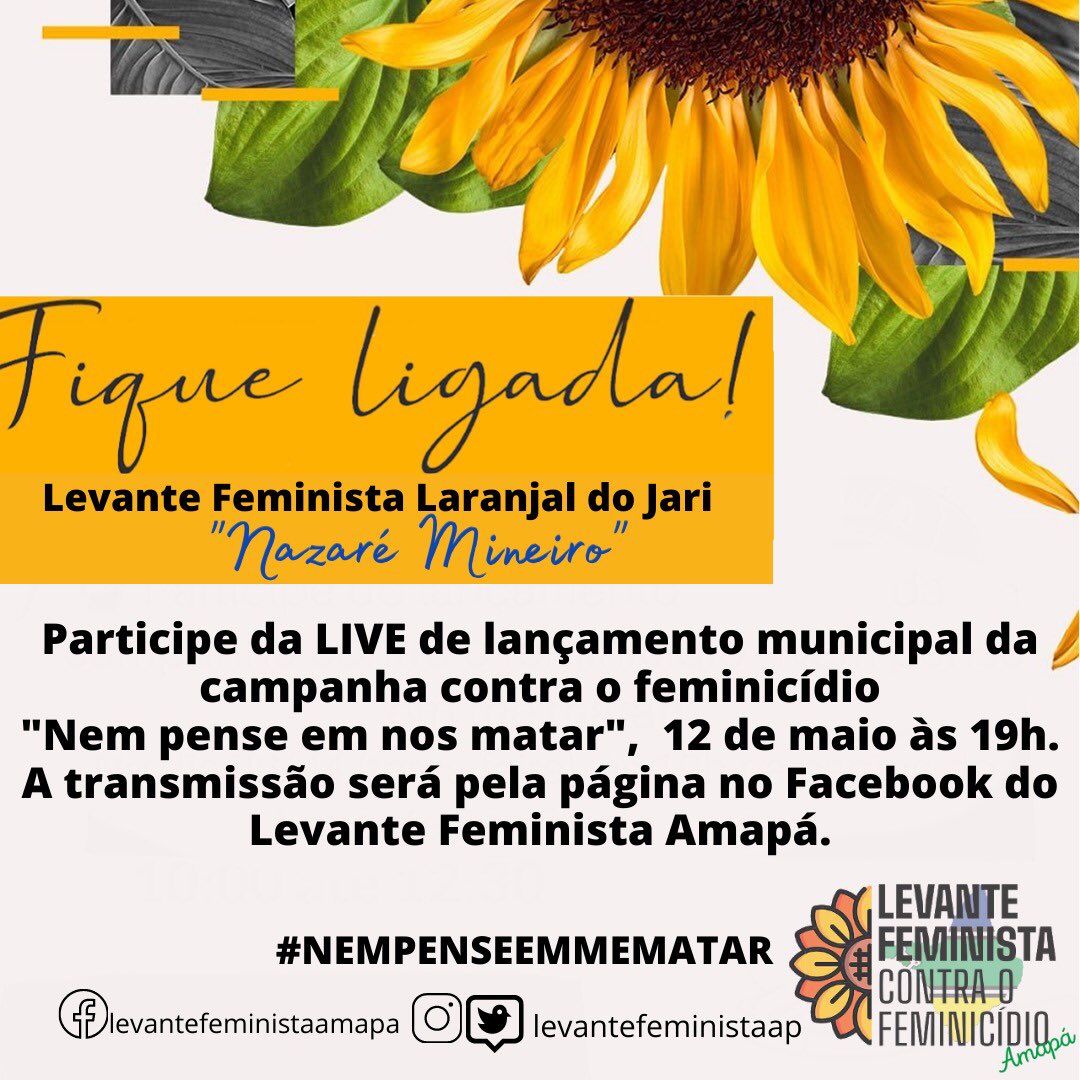 LevanteFemAP's tweet photo. Lançamento Levante Feminista Amapá em Laranjal do Jari https://t.co/RdrImYrL78