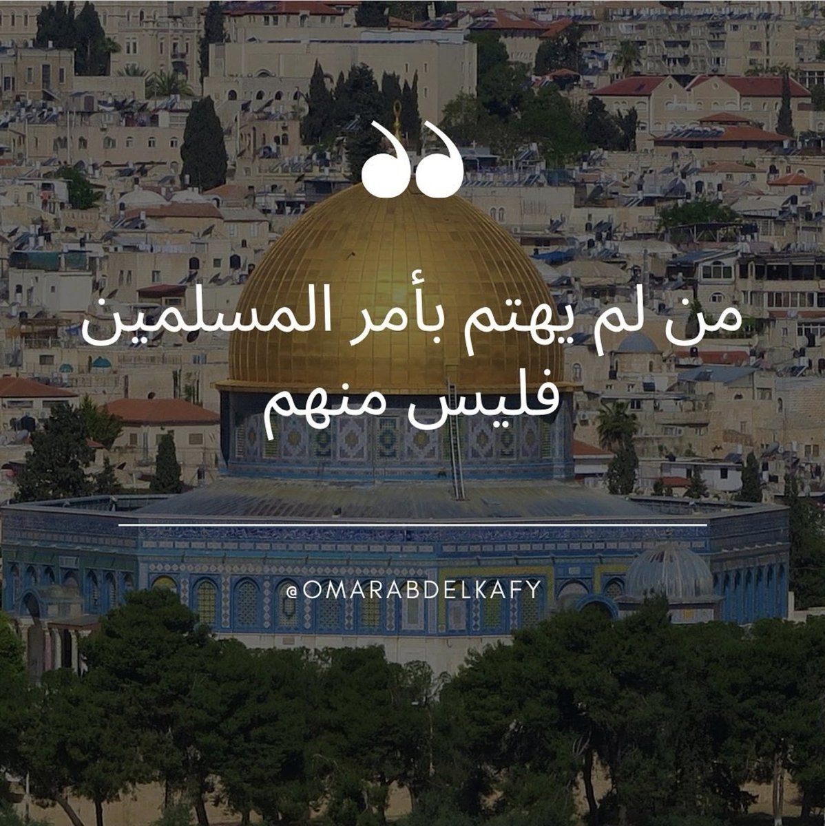 طارق tweet media