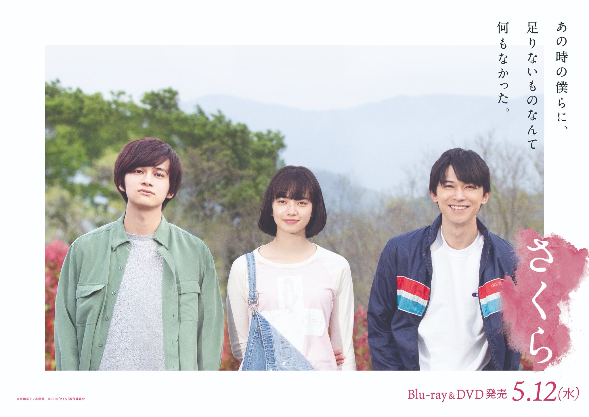 さくら Blu-ray 北村匠海 吉沢亮 小松菜奈 E1EZaI5VUAA3KTR.jpg:large