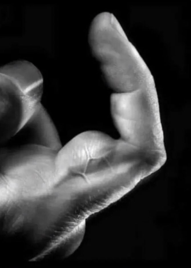 yakutwt's tweet image. minecraft pvpers 🤝 pianists