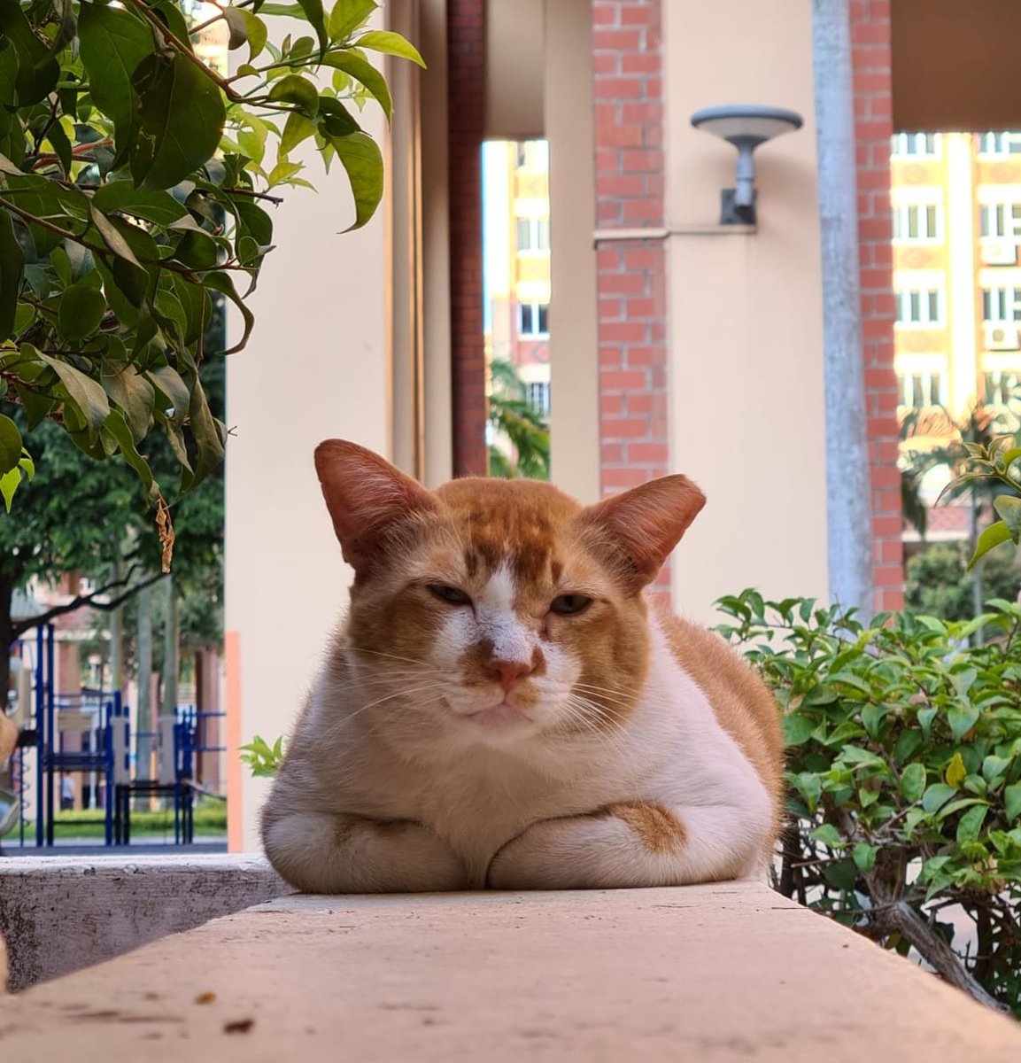 tesreaujay's tweet image. jaycore