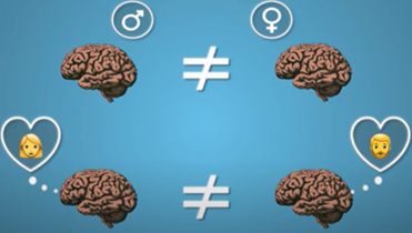 Seguramente has leído u oído que los cerebros de los hombres y mujeres no son iguales, tienen sus diferencias físicas y funcionales. Lo que la mayoría que esto se refiere es que, si el cerebro le gusta hombres, mujeres o ambos.