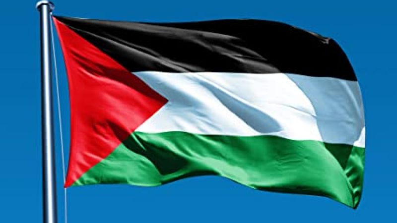 vargas_mimou's tweet photo. Palestina está siendo masacrada... El mundo entero observa la matanza y el sufrimiento, la perdida de niños en medio del asedio... el mundo pide PAZ #Palestina 🇵🇸 #PalestinaLibre #10Mayo https://t.co/S9TKvWH36e
