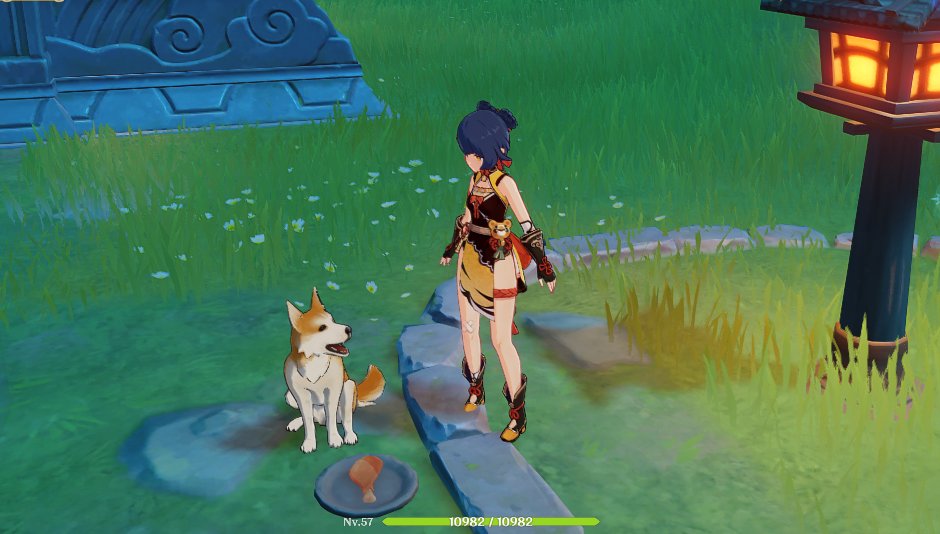 alimentando os cachorrinho no genshin <3