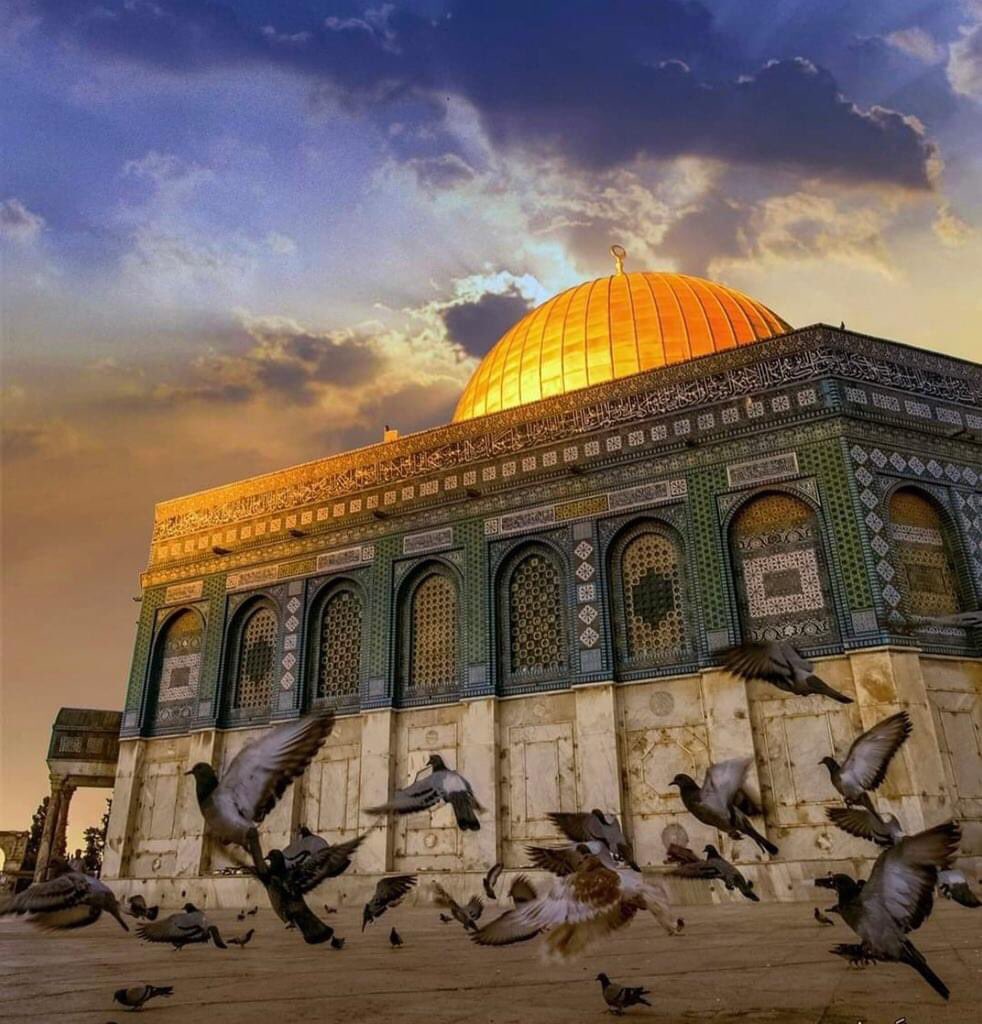 SirajMemoire's tweet photo. « N'ayez pas peur, je suis avec vous j'entends et je vois ».

[Coran 20/46] #Palestine🇵🇸 https://t.co/UCjcSqI5Yo