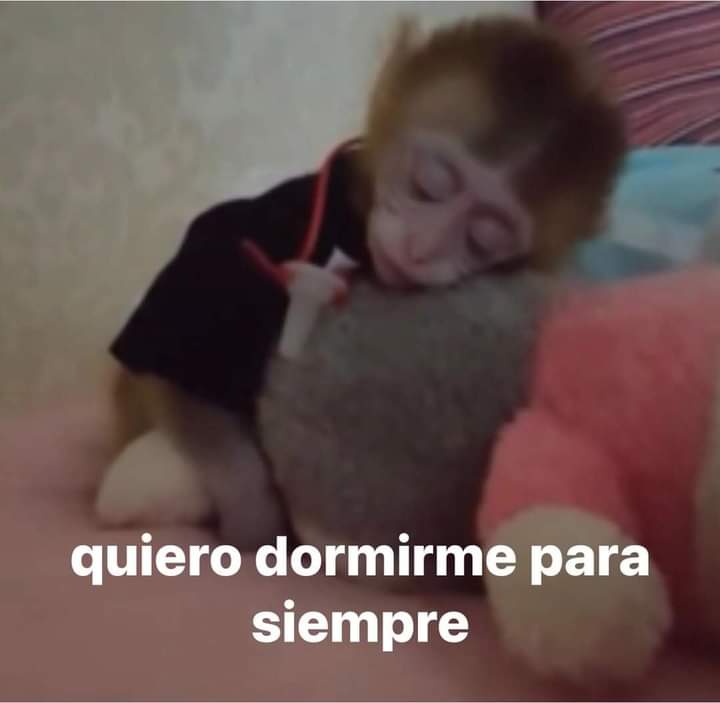 Cualquier mínimo incidente en mi vida:
