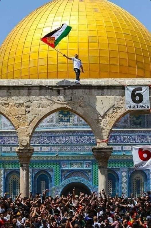 #الشعب_المصري_معاك_يافلسطيني