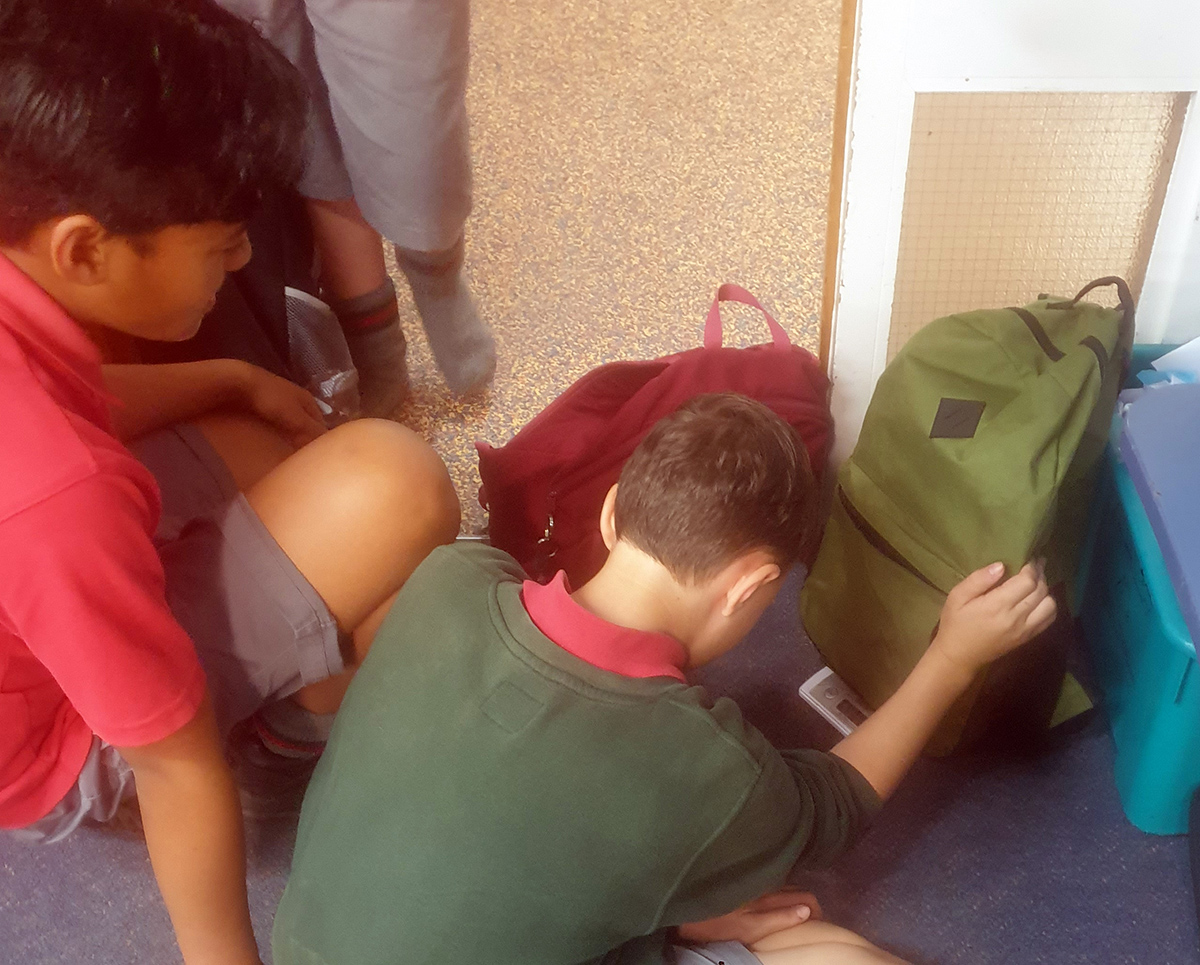 censusatschool_'s tweet photo. Thanks to Kristina Sheppard from Ashburton Intermediate School for sharing these photos of her Huaketetere 4 class taking part in CensusAtSchool yesterday: https://t.co/Fr2jKVjRM5

#casnz @Stats_NZ @EducationGovtNZ @AucklandUni #statistics #education https://t.co/0dEnBR4n7b