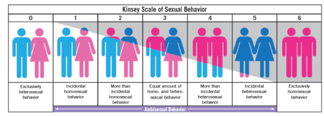 No quiero excluir a las demás orientaciones, pero el problema que se habla mayormente de la homosexualidad. En el caso de la bisexualidad, podríamos concluir que a la exposición a distintas hormonas no da a dos únicos modelos de cerebro, aquí es cuando entra la escala de Kinsey.