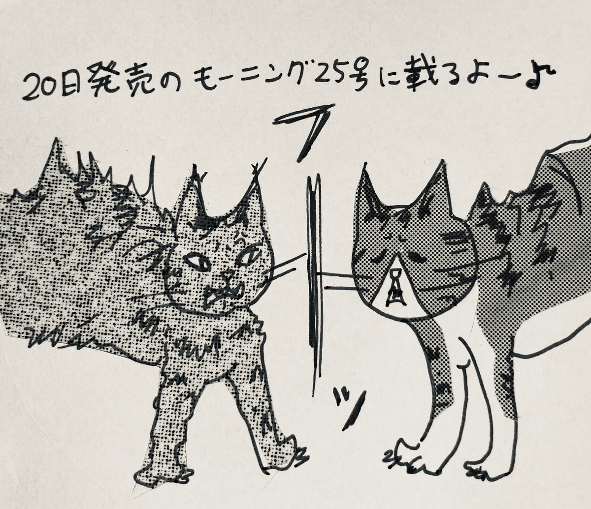 関口かんこ Pkb5648 Twitter