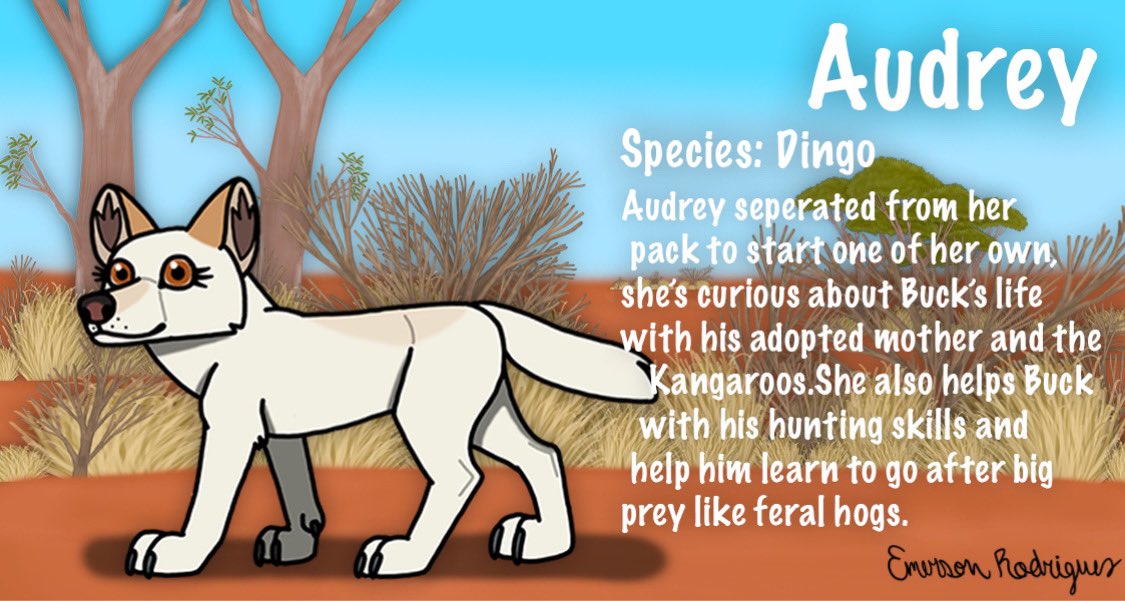 Emerson_R16's tweet photo. Here are descriptions of some Characters I want to make an animated series that I mentioned a while Back.#digitalart #digitalillustration #illustration #australia #futureidea #dingo #wallaroo #redkangaroo #kangaroo #feralcat https://t.co/nFSskORWYi