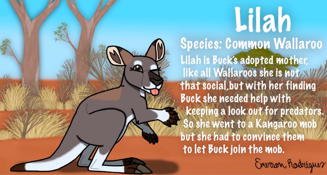 Emerson_R16's tweet photo. Here are descriptions of some Characters I want to make an animated series that I mentioned a while Back.#digitalart #digitalillustration #illustration #australia #futureidea #dingo #wallaroo #redkangaroo #kangaroo #feralcat https://t.co/nFSskORWYi