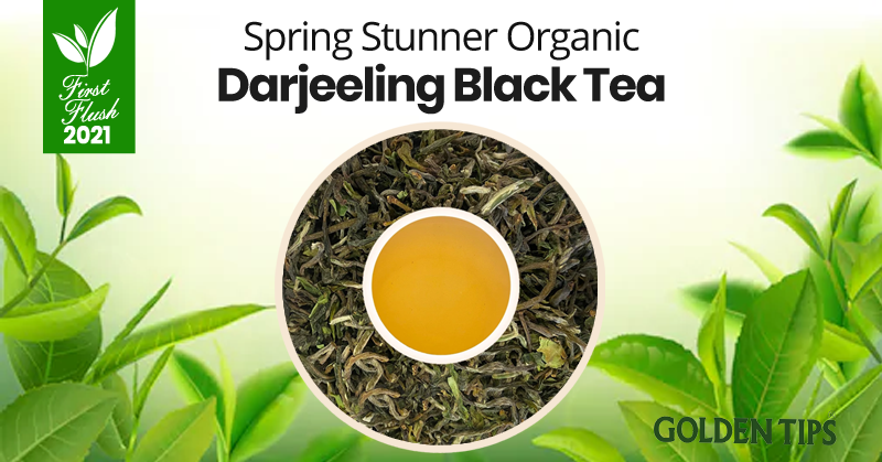 GoldenTipsTea's tweet photo. Spring Teas Arrival 👉 https://t.co/74p724a3qq
Green & few coppery leaves with mild floral nose. The fruity flavor combined with the mild nuttiness gives forth a wholesome and defining taste to relish this offering.
#FirstFlush2021 #SpringTeas #GoldenTipsTea #DarjeelingTea https://t.co/LjAMLhh4yw