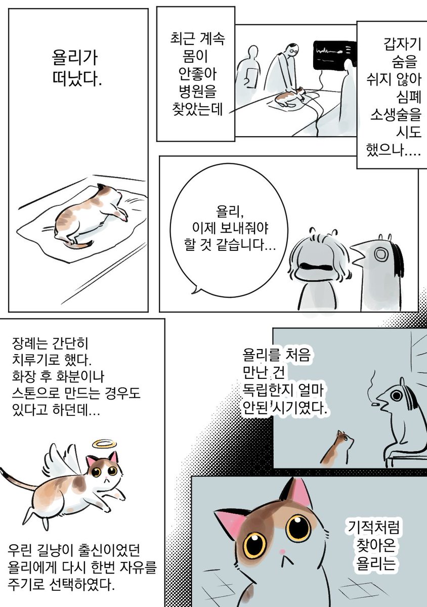 yolandaplzBcool's tweet photo. 욜리를 떠나보내는 만화 https://t.co/A0fr7NoHop